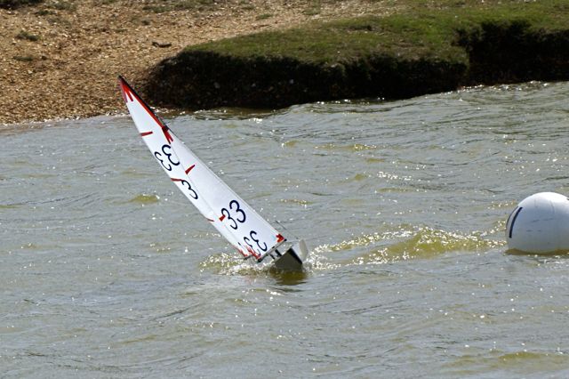 DSC09772 © Peter Taylor 2009