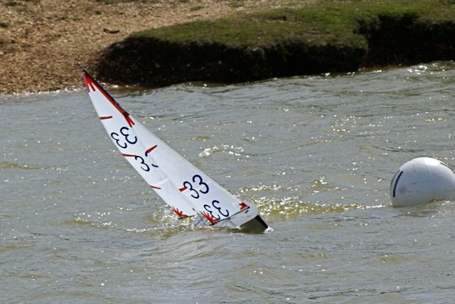 DSC09773 © Peter Taylor 2009