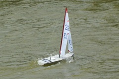 DSC09912 © Peter Taylor 2009