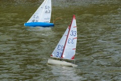 DSC09686 © Peter Taylor 2009