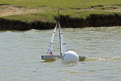 DSC09770 © Peter Taylor 2009