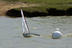 DSC09771 © Peter Taylor 2009