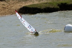 DSC09772 © Peter Taylor 2009