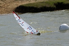 DSC09773 © Peter Taylor 2009