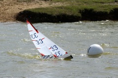 DSC09774 © Peter Taylor 2009