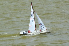DSC09851 © Peter Taylor 2009