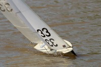 DSC04453 © Peter Taylor 2012