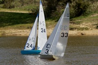 DSC04472 © Peter Taylor 2012