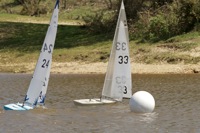 DSC04534 © Peter Taylor 2012