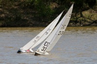 DSC04504 © Peter Taylor 2012