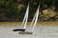 DSC04476 © Peter Taylor 2012