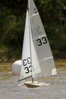 DSC04589 © Peter Taylor 2012