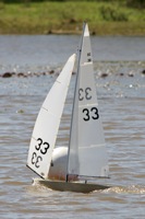 DSC04421 © Peter Taylor 2012