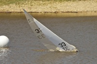 DSC04365 © Peter Taylor 2012