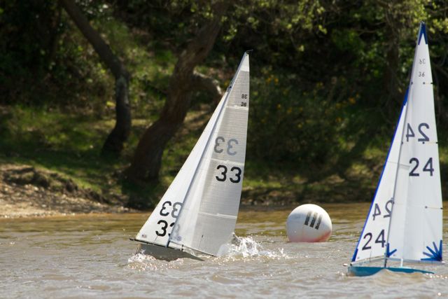DSC04553 © Peter Taylor 2012