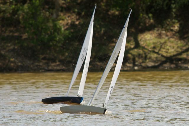 DSC04476 © Peter Taylor 2012