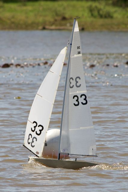 DSC04421 © Peter Taylor 2012