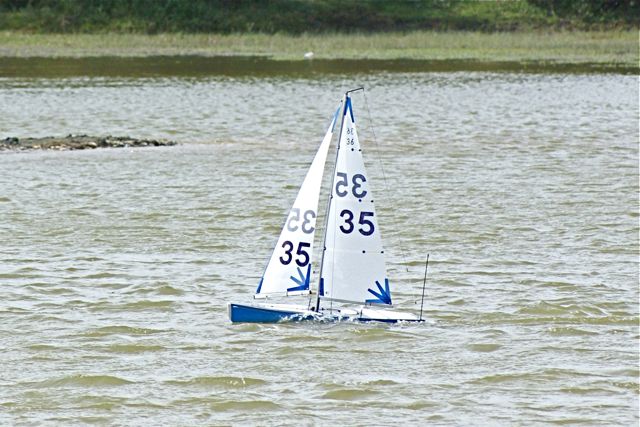DSC09550 © Peter Taylor 2009