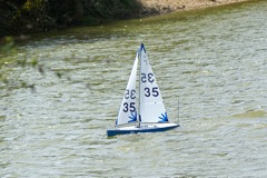 DSC09740 © Peter Taylor 2009