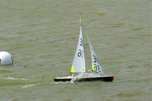 DSC09903 © Peter Taylor 2009