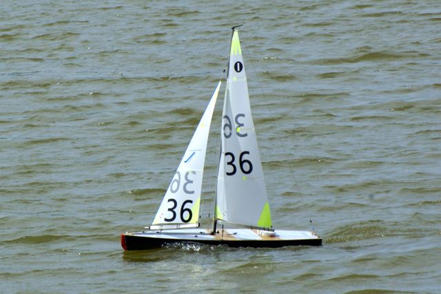DSC09556 © Peter Taylor 2009