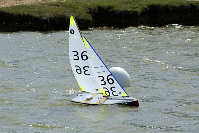 DSC09768 © Peter Taylor 2009
