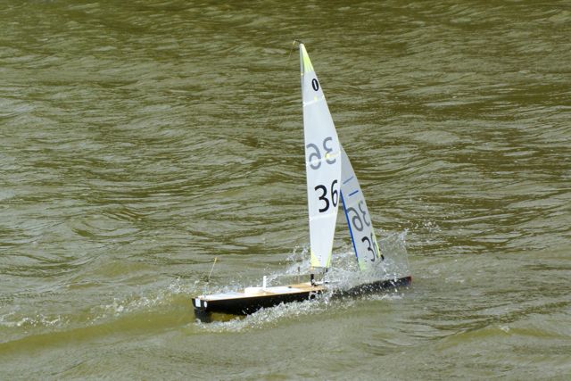 DSC09869 © Peter Taylor 2009
