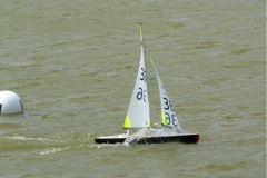 DSC09903 © Peter Taylor 2009