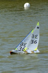 DSC09647 © Peter Taylor 2009