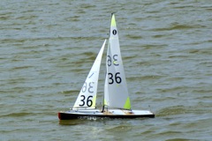 DSC09556 © Peter Taylor 2009
