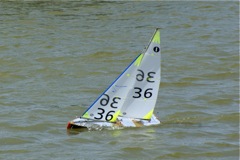 DSC09646 © Peter Taylor 2009