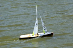 DSC09721 © Peter Taylor 2009