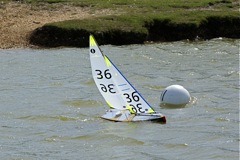 DSC09767 © Peter Taylor 2009