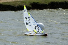 DSC09768 © Peter Taylor 2009