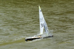 DSC09869 © Peter Taylor 2009