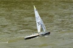 DSC09870 © Peter Taylor 2009