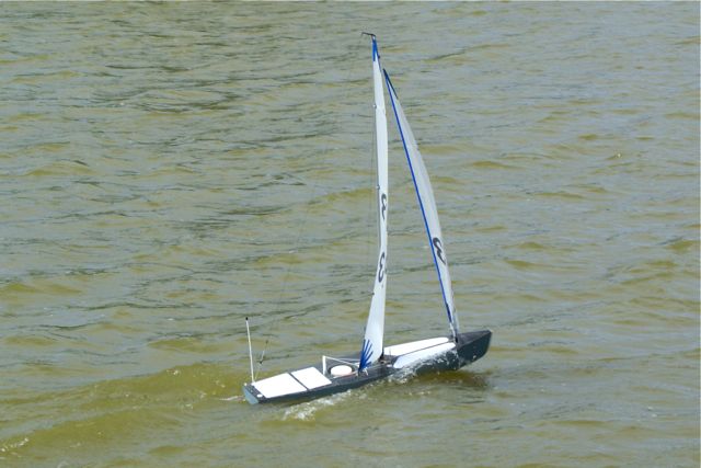 DSC09621 © Peter Taylor 2009