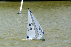 DSC09809 © Peter Taylor 2009
