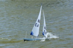 DSC09634 © Peter Taylor 2009