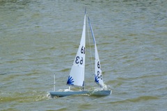 DSC09635 © Peter Taylor 2009