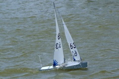 DSC09638 © Peter Taylor 2009