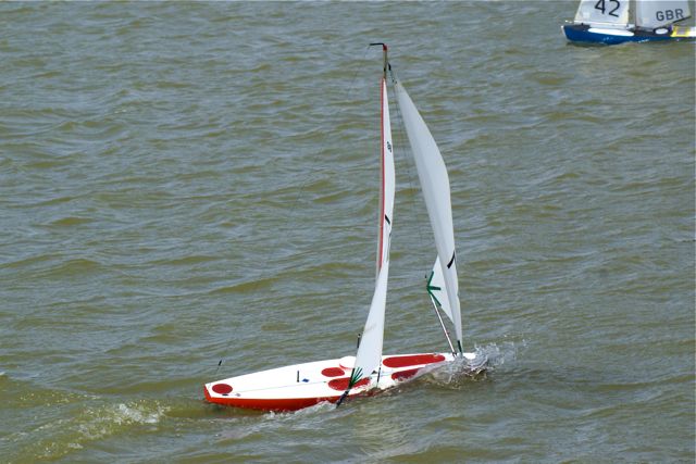 DSC09687 © Peter Taylor 2009