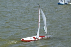 DSC09687 © Peter Taylor 2009