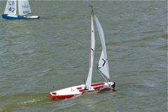 DSC09688 © Peter Taylor 2009
