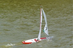 DSC09691 © Peter Taylor 2009