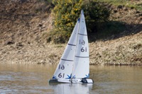 DSC09281 © Peter Taylor 2012
