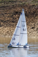 DSC09282 © Peter Taylor 2012