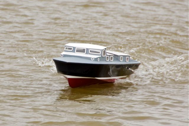 DSC03327 © Peter Taylor 2013