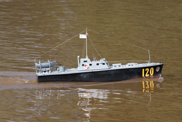 DSC04537 © Peter Taylor 2011