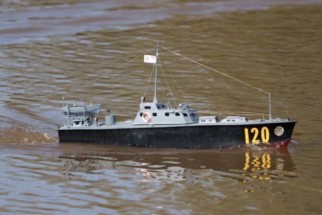 DSC04536 © Peter Taylor 2011